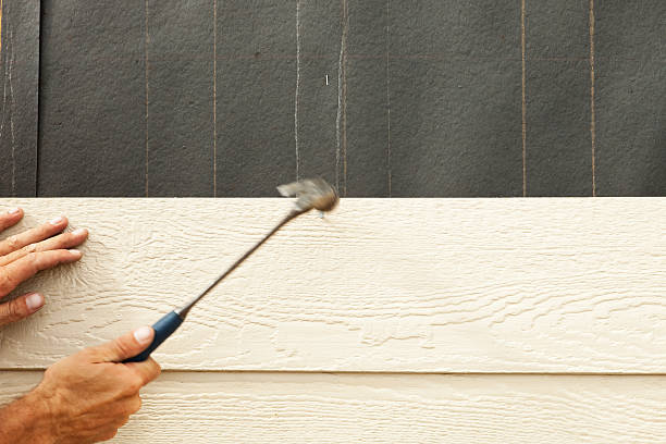 Best Brick Veneer Siding  in Ocean Springs, MS